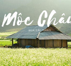 Tour Hà Nội - Mộc Châu 2N1Đ 
